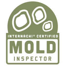 mold image mold inspector